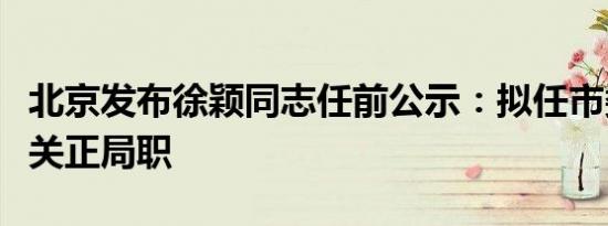 北京发布徐颖同志任前公示：拟任市委工作机关正局职