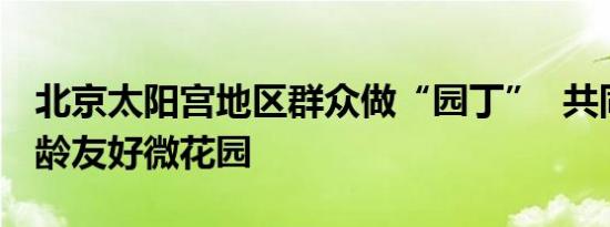 北京太阳宫地区群众做“园丁”  共同建设全龄友好微花园