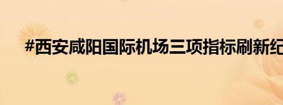 #西安咸阳国际机场三项指标刷新纪录#