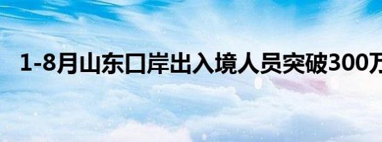 1-8月山东口岸出入境人员突破300万人次