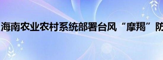 海南农业农村系统部署台风“摩羯”防御工作