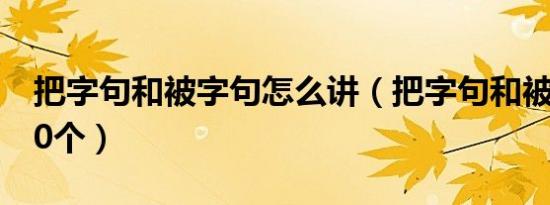 把字句和被字句怎么讲（把字句和被字句各50个）