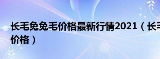 长毛兔兔毛价格最新行情2021（长毛兔兔毛价格）