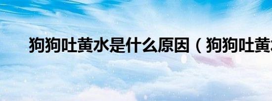 狗狗吐黄水是什么原因（狗狗吐黄水）