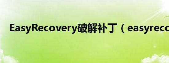 EasyRecovery破解补丁（easyrecover）