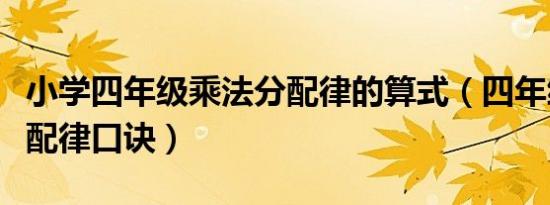 小学四年级乘法分配律的算式（四年级乘法分配律口诀）