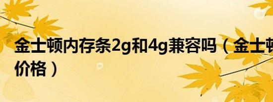 金士顿内存条2g和4g兼容吗（金士顿2g内存价格）