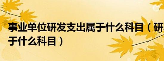 事业单位研发支出属于什么科目（研发支出属于什么科目）