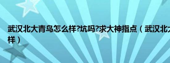 武汉北大青鸟怎么样?坑吗?求大神指点（武汉北大青鸟怎么样）