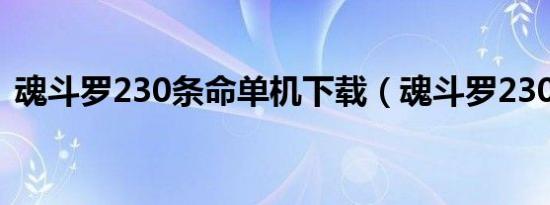 魂斗罗230条命单机下载（魂斗罗230条命）