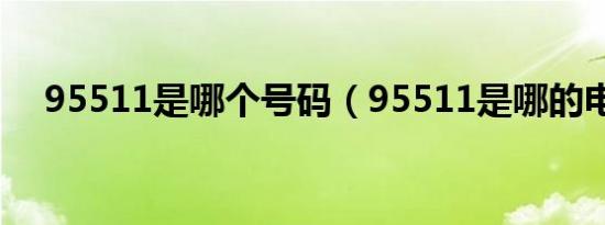 95511是哪个号码（95511是哪的电话）