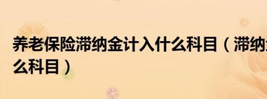 养老保险滞纳金计入什么科目（滞纳金计入什么科目）