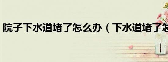 院子下水道堵了怎么办（下水道堵了怎么办）