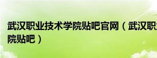 武汉职业技术学院贴吧官网（武汉职业技术学院贴吧）