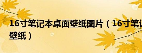 16寸笔记本桌面壁纸图片（16寸笔记本桌面壁纸）