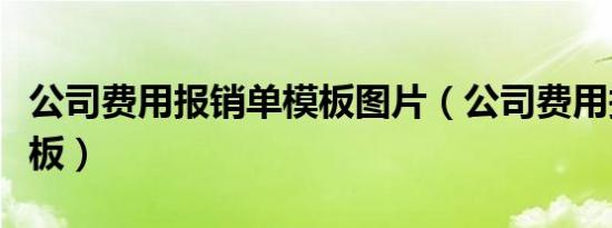 公司费用报销单模板图片（公司费用报销单模板）