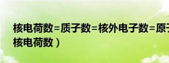 核电荷数=质子数=核外电子数=原子序数（核电荷数）