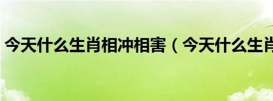 今天什么生肖相冲相害（今天什么生肖相冲）