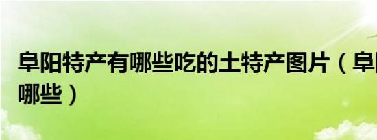 阜阳特产有哪些吃的土特产图片（阜阳特产有哪些）