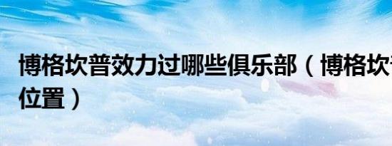 博格坎普效力过哪些俱乐部（博格坎普提什么位置）