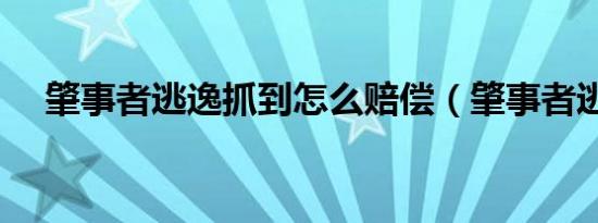 肇事者逃逸抓到怎么赔偿（肇事者逃逸）