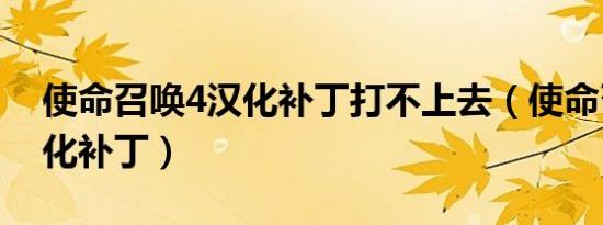 使命召唤4汉化补丁打不上去（使命召唤4汉化补丁）