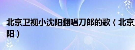 北京卫视小沈阳翻唱刀郎的歌（北京卫视小沈阳）