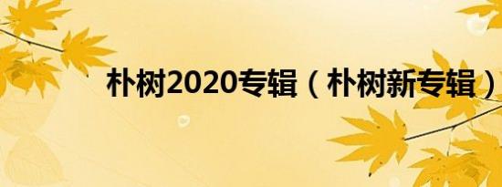 朴树2020专辑（朴树新专辑）