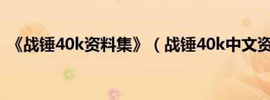 《战锤40k资料集》（战锤40k中文资料集）