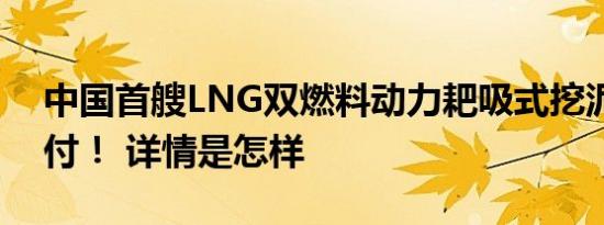 中国首艘LNG双燃料动力耙吸式挖泥船，交付！ 详情是怎样