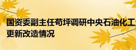 国资委副主任苟坪调研中央石油化工企业设备更新改造情况