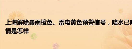 上海解除暴雨橙色、雷电黄色预警信号，降水已明显减弱 详情是怎样