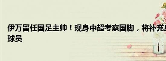 伊万留任国足主帅！现身中超考察国脚，将补充身体强悍的球员