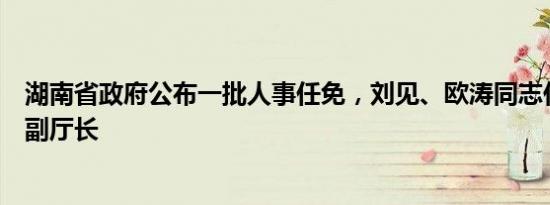 湖南省政府公布一批人事任免，刘见、欧涛同志任省财政厅副厅长