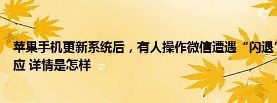 苹果手机更新系统后，有人操作微信遭遇“闪退”？最新回应 详情是怎样