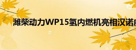 潍柴动力WP15氢内燃机亮相汉诺威展