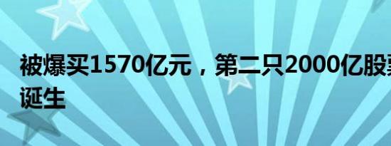 被爆买1570亿元，第二只2000亿股票型基金诞生