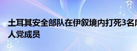 土耳其安全部队在伊叙境内打死3名库尔德工人党成员