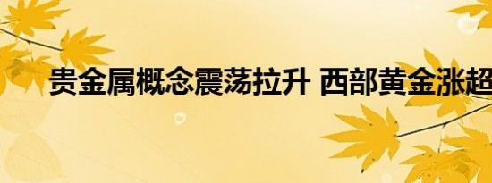 贵金属概念震荡拉升 西部黄金涨超5%