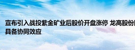 宣布引入战投紫金矿业后股价开盘涨停 龙高股份回应：业务具备协同效应