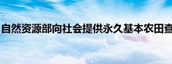 自然资源部向社会提供永久基本农田查询服务