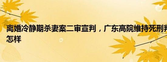 离婚冷静期杀妻案二审宣判，广东高院维持死刑判决 详情是怎样