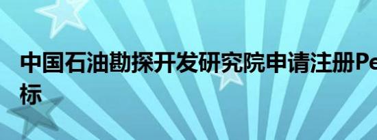 中国石油勘探开发研究院申请注册PetroAI商标