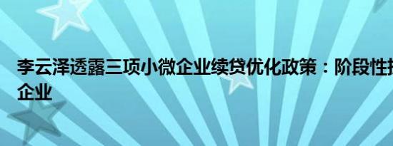 李云泽透露三项小微企业续贷优化政策：阶段性扩大至中型企业