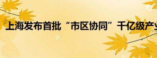 上海发布首批“市区协同”千亿级产业集群