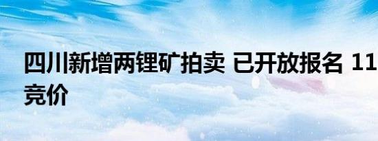 四川新增两锂矿拍卖 已开放报名 11月6日起竞价