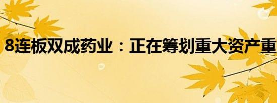 8连板双成药业：正在筹划重大资产重组事项