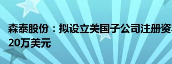 森泰股份：拟设立美国子公司注册资本不超过20万美元