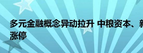 多元金融概念异动拉升 中粮资本、新力金融涨停