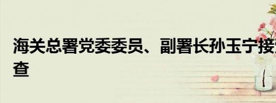 海关总署党委委员、副署长孙玉宁接受审查调查